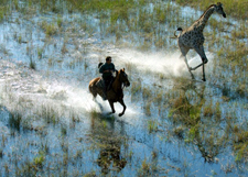 Botswana-Okavango Delta-Okavango Delta Macatoo Safari